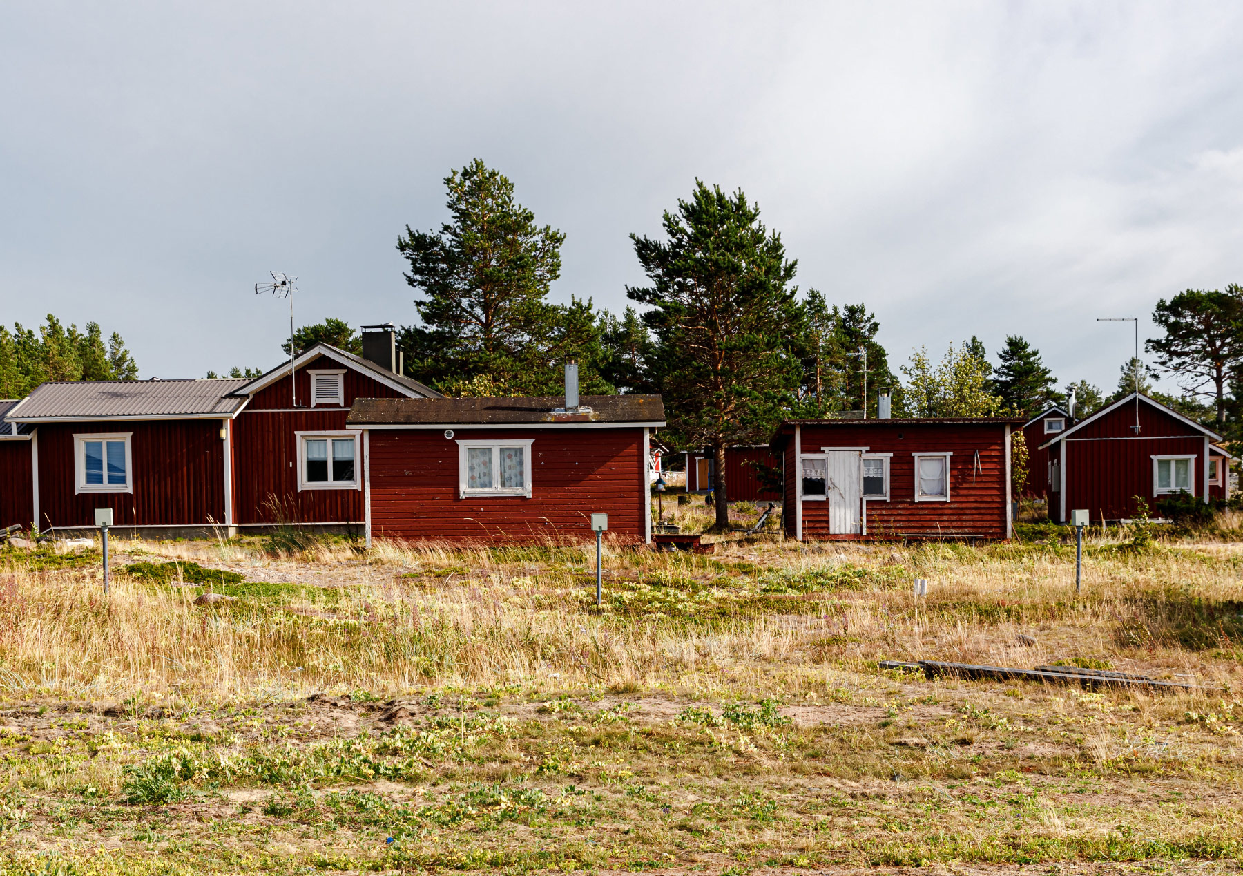 Hailuoto